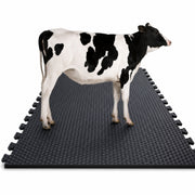 Cow Rubber Mat (6*4 FT size)
