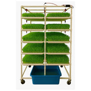 प्रॉम्प्ट (FodderEasy Hydroponics Fodder System) - soil-less और ऑटोमेटेड solution