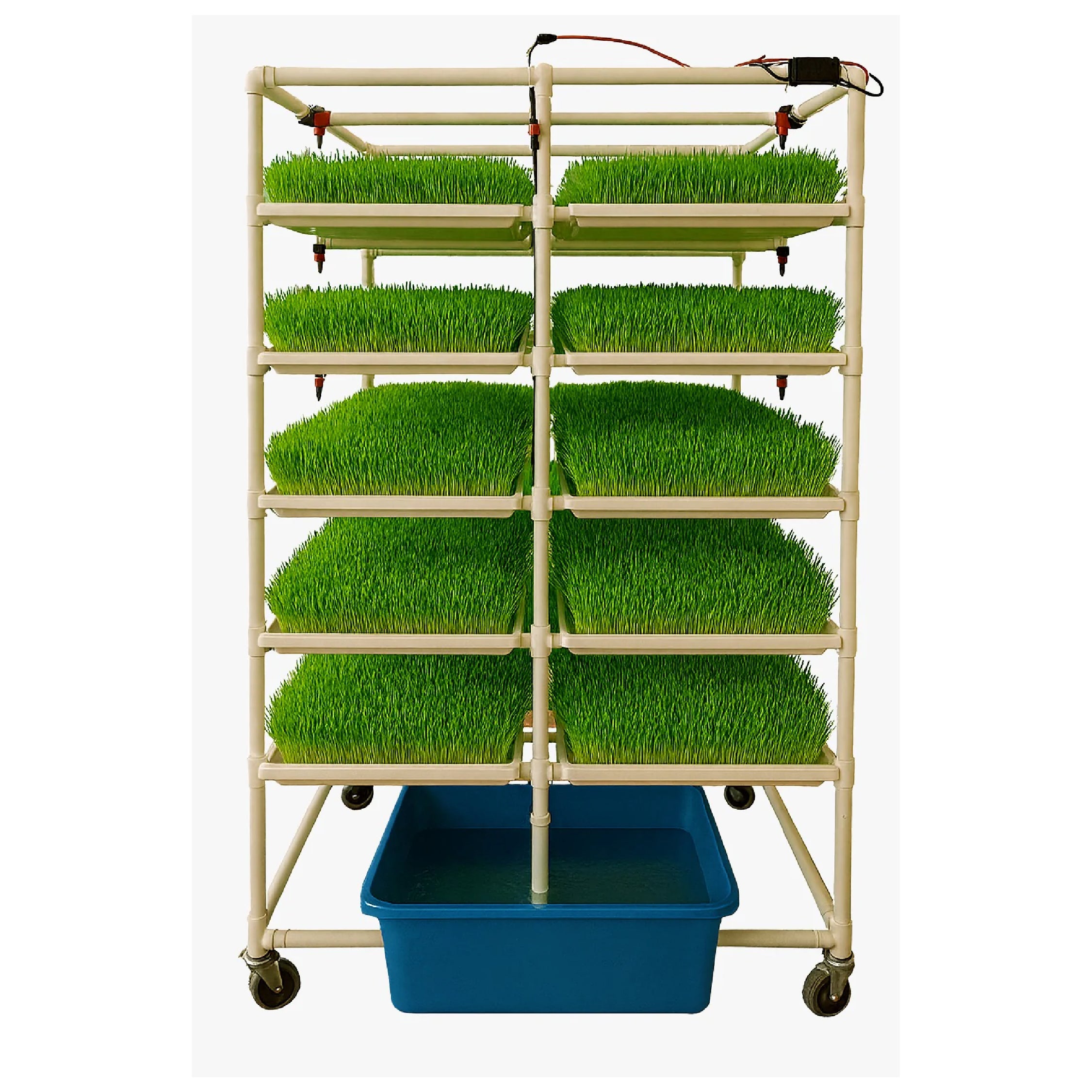 प्रॉम्प्ट (FodderEasy Hydroponics Fodder System) - soil-less और ऑटोमेटेड solution